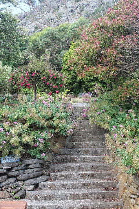 Gardenia House - Mackay Tourism 2