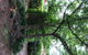 Holmhurst Guest House - thumb 5