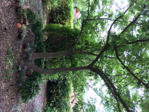 Holmhurst Guest House - Mackay Tourism 5