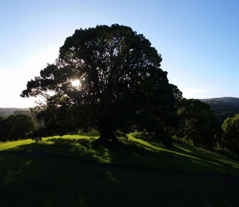 Valleydale Cottage - Mackay Tourism 1