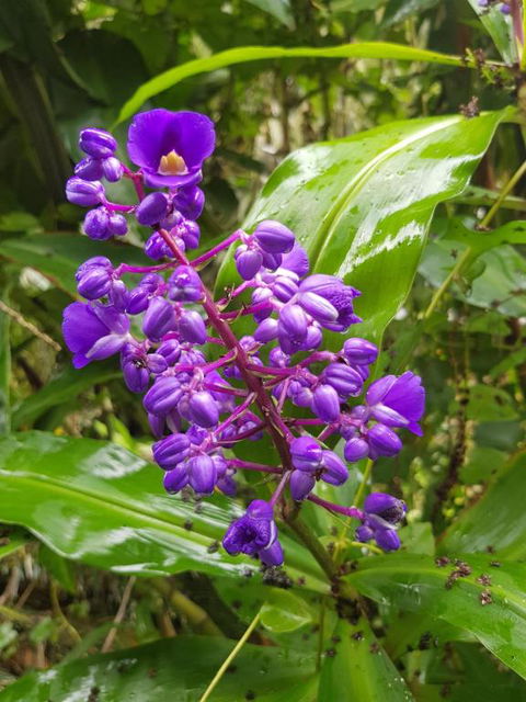 Valleydale Cottage - Mackay Tourism 4