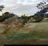 Young Budget Accommodation - Mackay Tourism