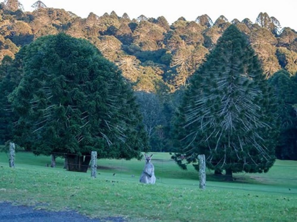 Kilbirnie QLD Mackay Tourism