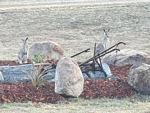 R & R On The Ravine - Mackay Tourism 5
