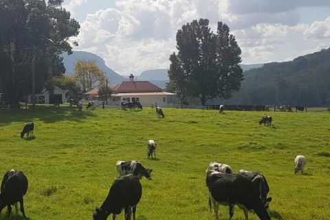 Glenmurray Country Farm Stay! - Mackay Tourism 0