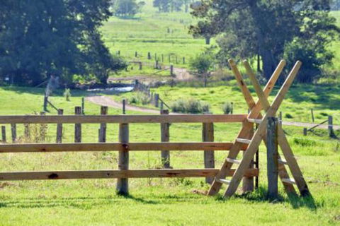 Glenmurray Country Farm Stay! - Mackay Tourism 4