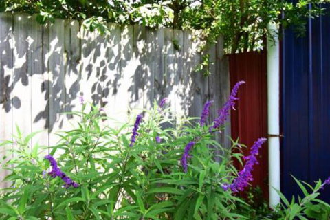 Lulu Hill Cottage Kangaroo Valley - Mackay Tourism 7