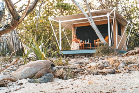Wilson Island - Mackay Tourism 0