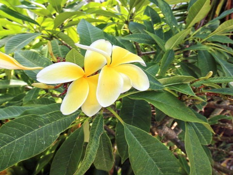 Palm Oasis Family Friendly Accommodation Just A Short Walk To Werri Beach - Mackay Tourism 1