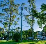 Dorrigo Mountain Holiday Park - Mackay Tourism