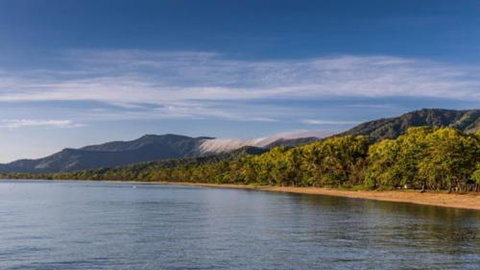 RED COWRIE 321atPALM COVE - Mackay Tourism 3