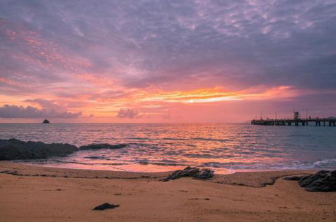 RED COWRIE 321atPALM COVE - Mackay Tourism 5