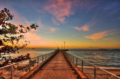 RED COWRIE 321atPALM COVE - Mackay Tourism 2