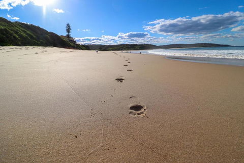 Surfers Paradise At Catherine Hill Bay - Mackay Tourism 2