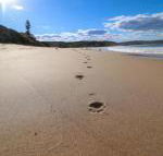 Surfers Paradise at Catherine Hill Bay - Mackay Tourism