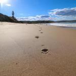 Surfers Paradise At Catherine Hill Bay - Mackay Tourism 0