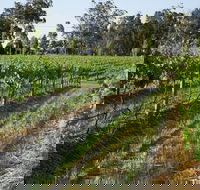 Renovated Cottage Aberdare Hunter Valley