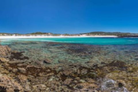 Hanson Bay Wildlife Sanctuary And Cabins - Mackay Tourism 0