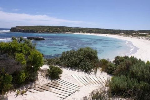 Hanson Bay Wildlife Sanctuary And Cabins - Mackay Tourism 1