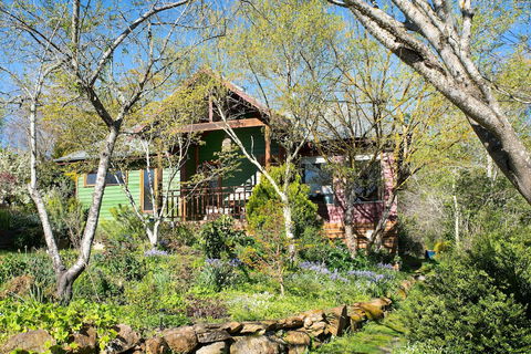 Hills End Iris - Mackay Tourism 1