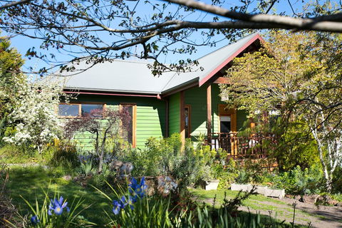 Hills End Iris - Mackay Tourism 0