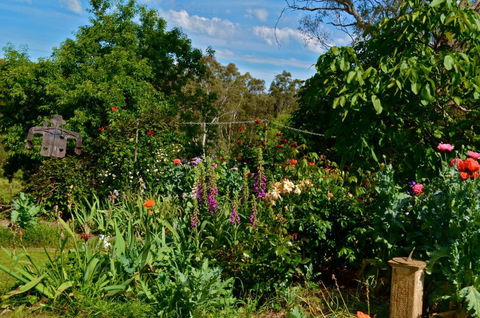Clyde Cottage - Mackay Tourism 3