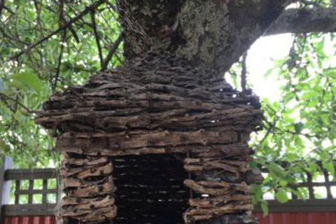Daydream Cottage - Mackay Tourism 6