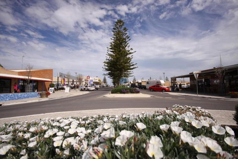 Ceduna Foreshore Caravan Park - Mackay Tourism 1