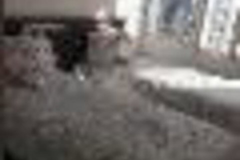 Central Coast Travellers Home - Mackay Tourism 2