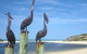 Moore River Beach Shack - thumb 0