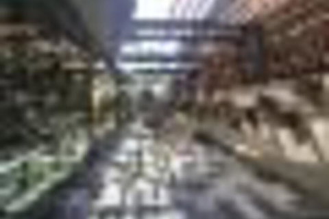 Amazing Lake View Apartment AtAlber Park  - Mackay Tourism 4