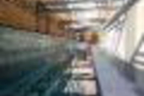 Amazing Lake View Apartment AtAlber Park  - Mackay Tourism 6