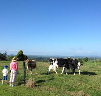 MilaViews - Mackay Tourism