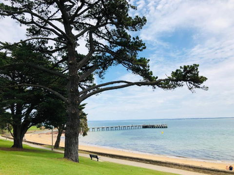 FAMILY ISLAND GETAWAY BEACHFRONT APARTMENT - Mackay Tourism 3