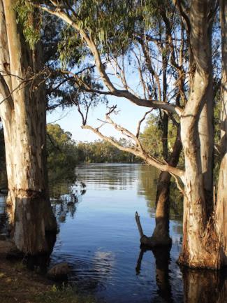 Barham Riverland Motel - Mackay Tourism 1
