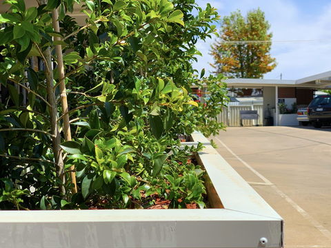 Baths Motel - Mackay Tourism 0