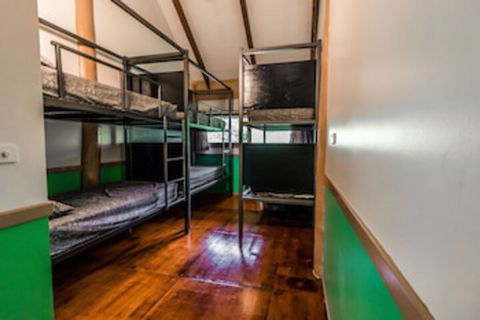Jackaroo Treehouse Mission Beach - Mackay Tourism 0