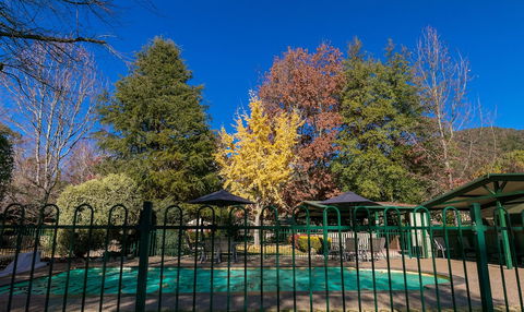 The Birch House - Silver Birches - Mackay Tourism 1