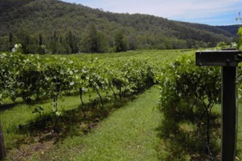 Cedar Creek Cottages - Mackay Tourism 2