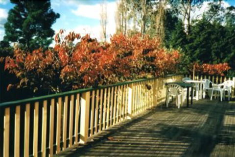 Heronswood House B & B - Mackay Tourism 7