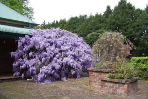 Heronswood House B & B - Mackay Tourism 2