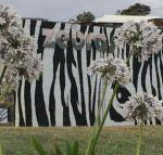 Zebras Guest House - Mackay Tourism