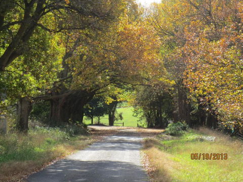 Walnut Cottage Via Leongatha - Mackay Tourism 3
