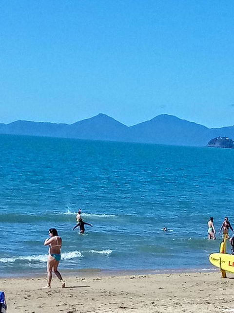 Paradise In Palm Cove - Mackay Tourism 3