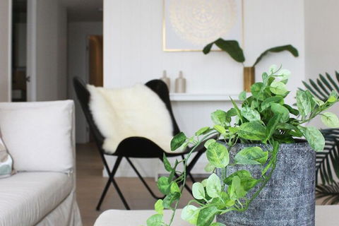 Modern Apartment In Brisbane - Mackay Tourism 5