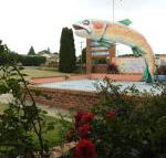 Big Trout Motel - Mackay Tourism