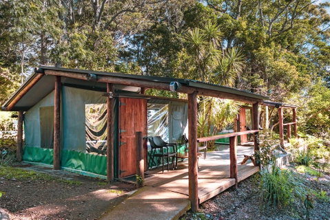 Binna Burra Rainforest Campsite - Mackay Tourism 3