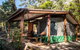 Binna Burra Rainforest Campsite - thumb 5