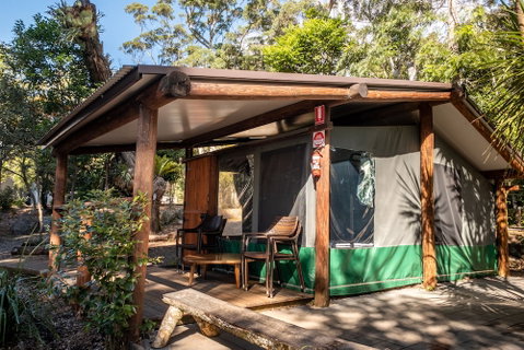 Binna Burra Rainforest Campsite - Mackay Tourism 5
