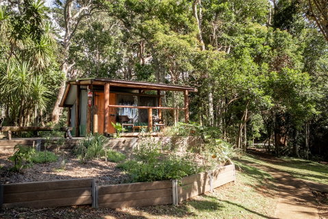 Binna Burra Rainforest Campsite - Mackay Tourism 1